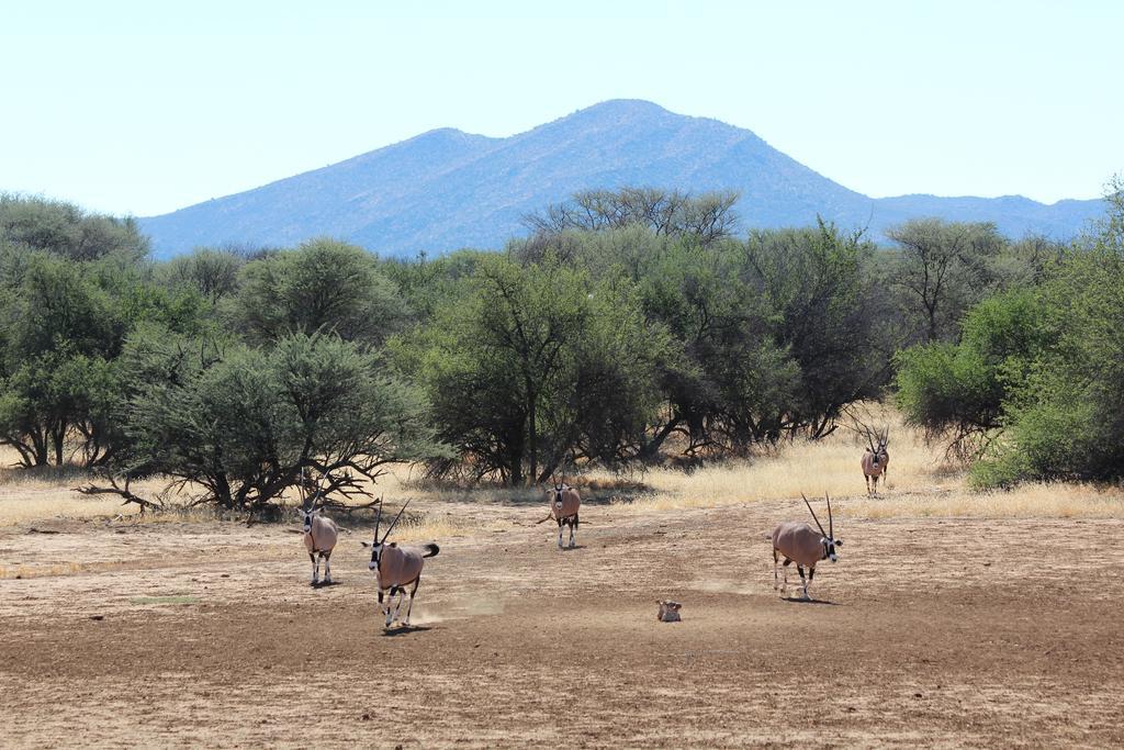 Haasenhof Gastefarm Villa Okahandja Exterior foto